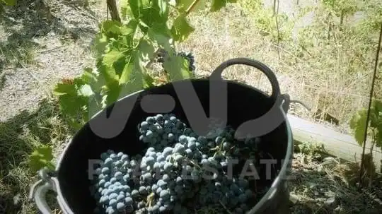 Jardín de Terreno en venta en Porrera