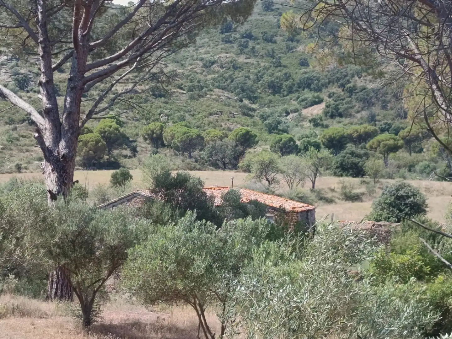 Finca rústica en venta en Vilajuïga con Terraza, Trastero y Balcón