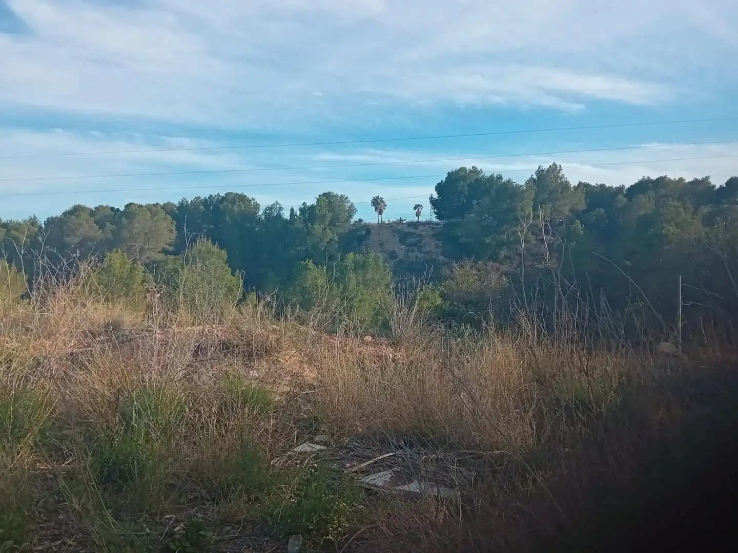 Terrenos y solares en venta en Escandinavia - Cautivador, imagen 5