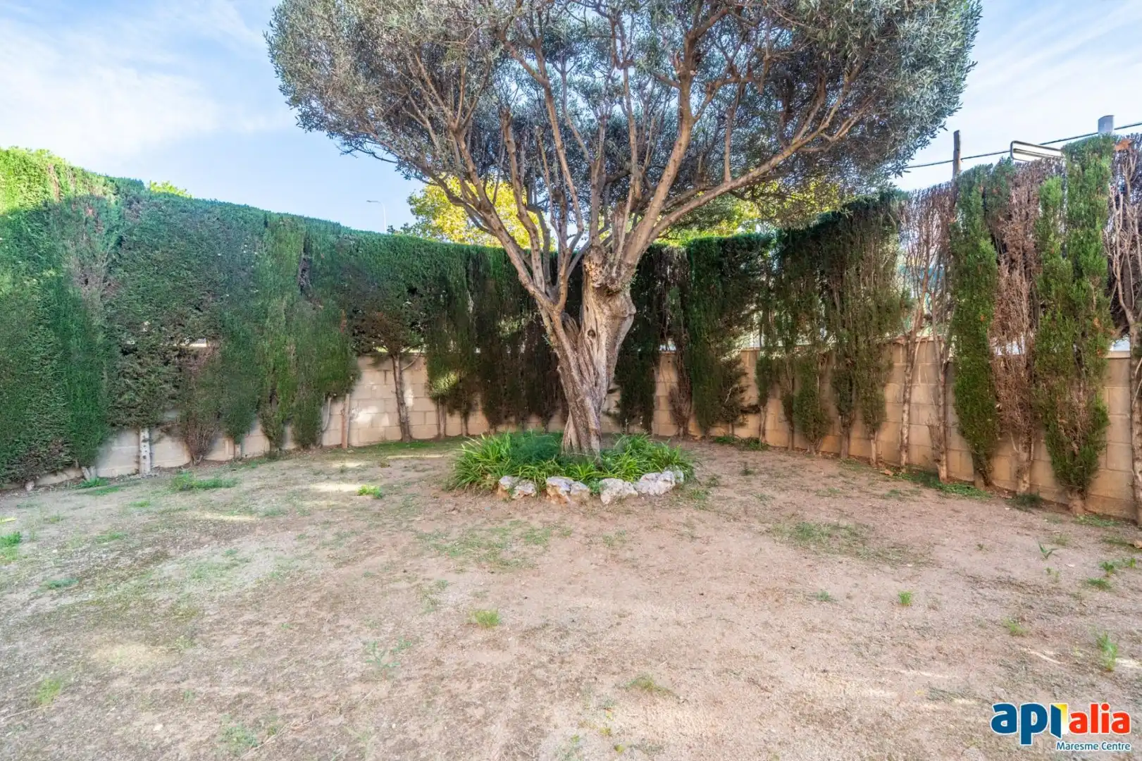 Casa o xalet en venda a Califòrnia - Santa Madrona