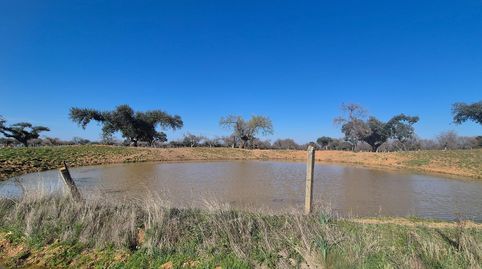 Foto 5 von Grundstücke zum Verkauf in Carrascal del Obispo, Salamanca