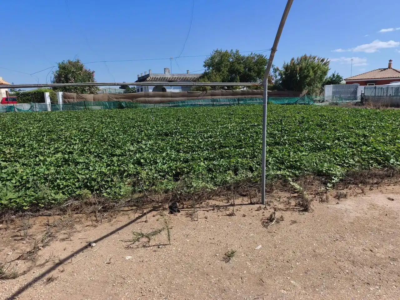 Lands and plots for sale in Camino de la Jara, imagen 5