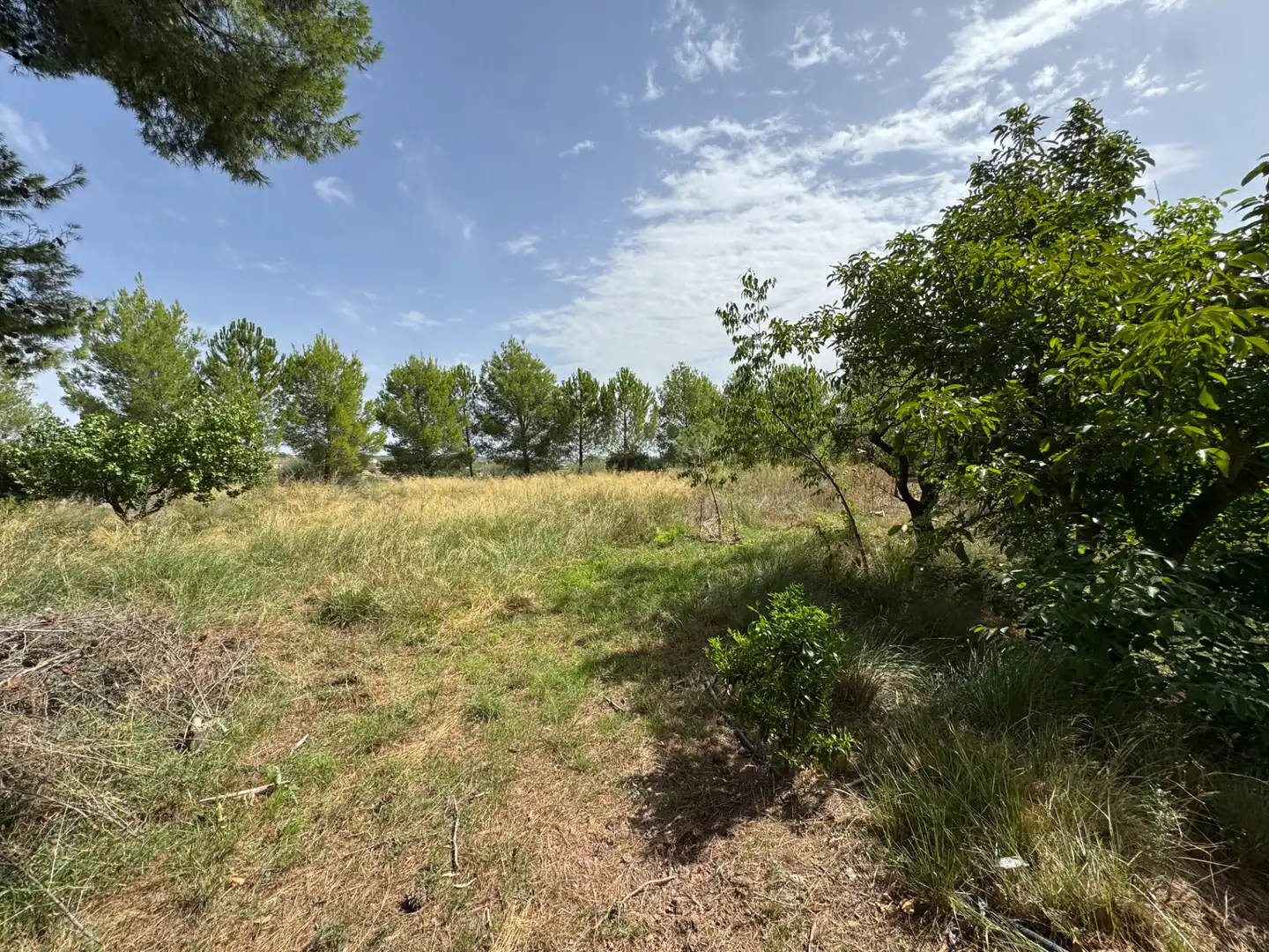 Houses for sale in Diseminado Escobar, 224, Cehegín
