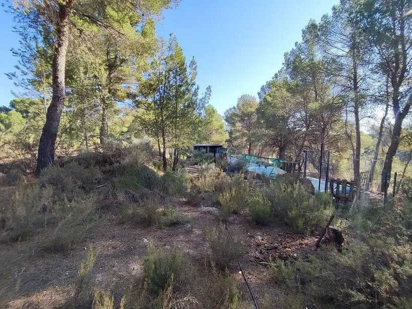 Finca rústica en venda en Tobarra amb Jardí privat, Terrassa i Traster