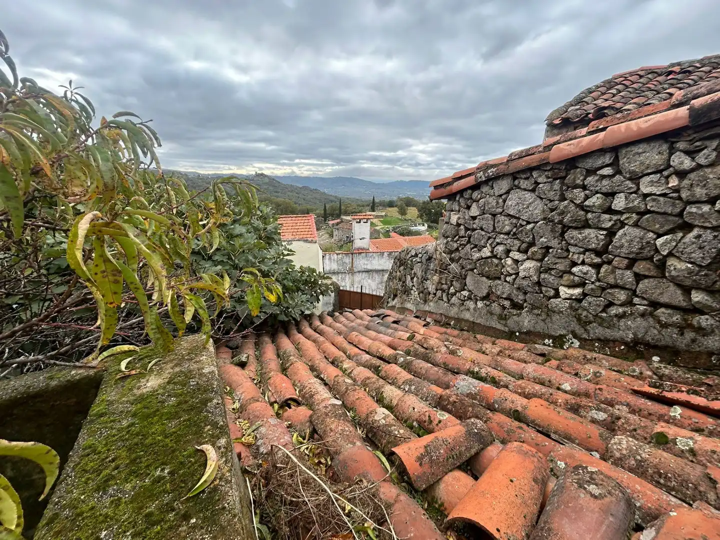 Vista exterior de Finca rústica en venta en Villamiel