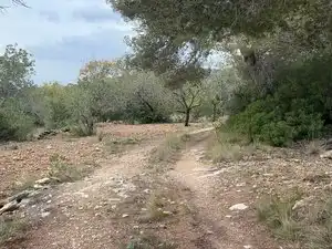 Terreno rustico in vendita a Carrer Major 22, imagen 7