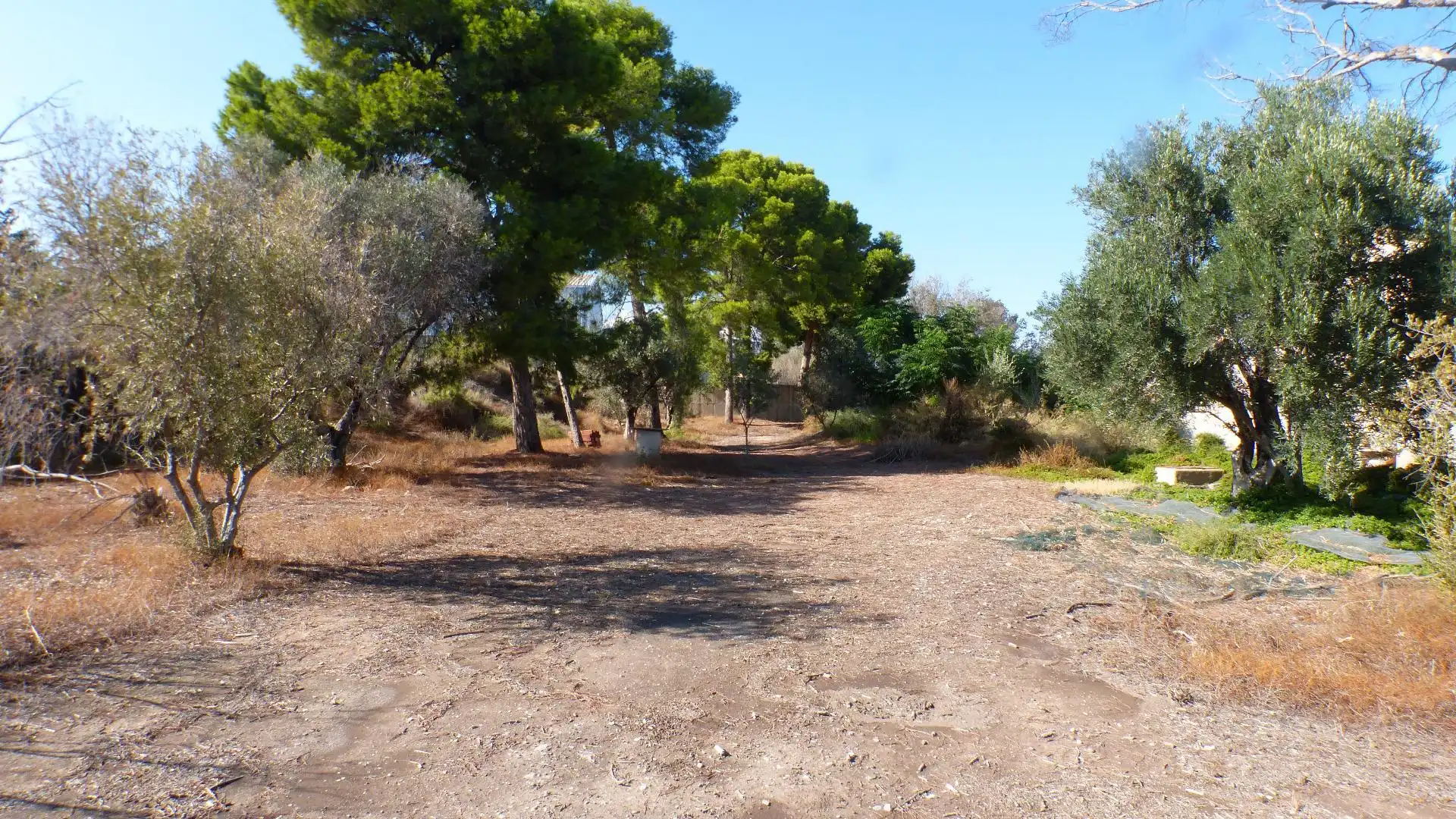 Industrial land for sale in Mutxamel