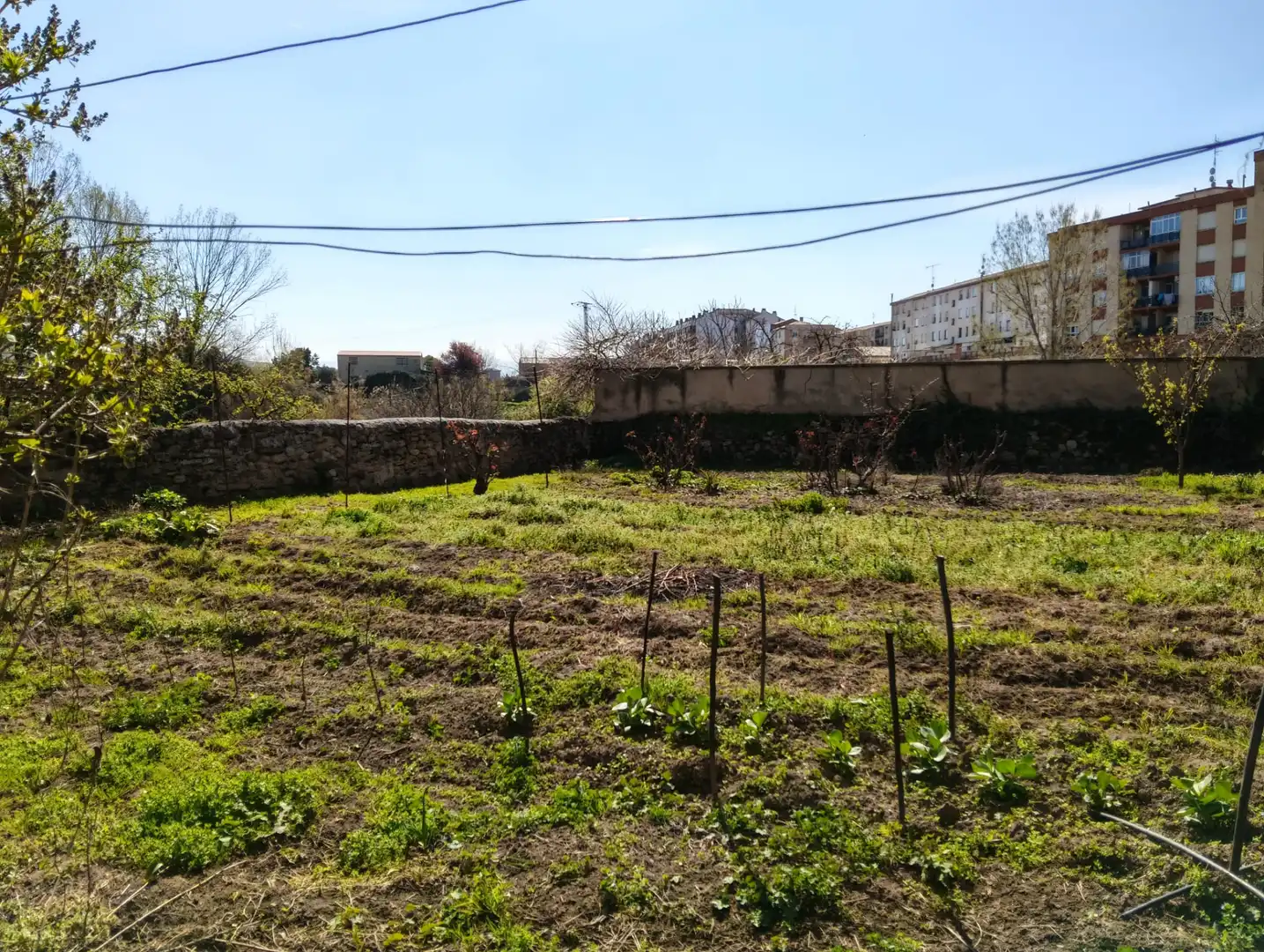 House with terrace for sale in Fuenmayor, imagen 39