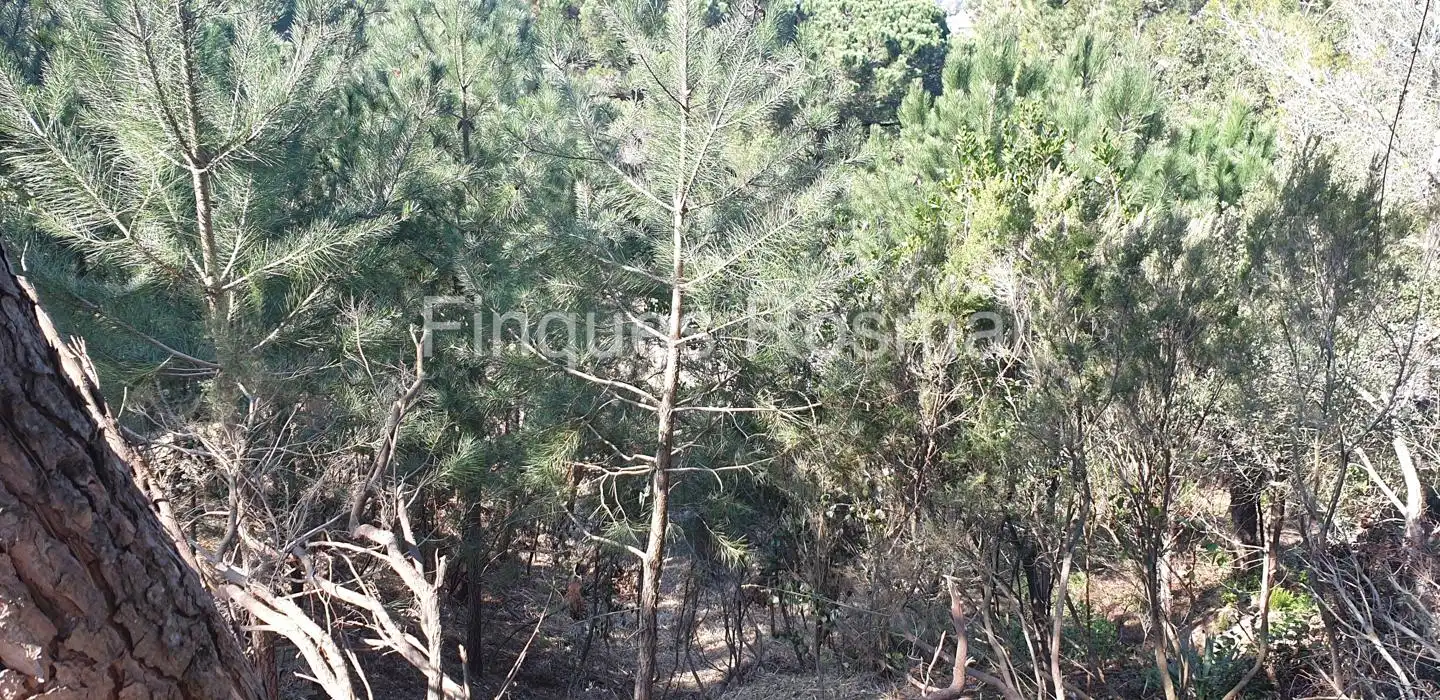 Grundstücke und Bauplätze zum Verkauf in Lloret Residencial - Montlloret, imagen 2