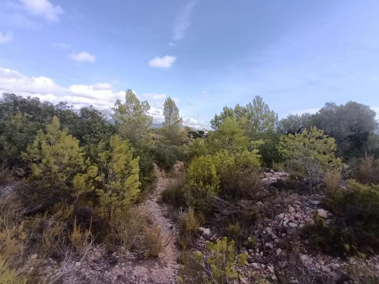 Landhaus zum Verkauf in Polígono Camí del Lligallo de Manra, imagen 11