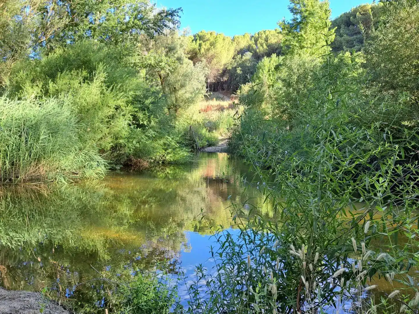 Vista exterior de Pis en venda en Valladolid amb Jardí privat, Traster i Balcó