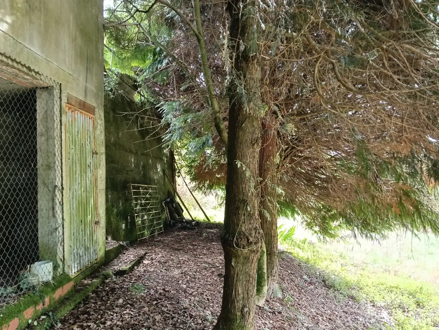 Adossat amb jardí en venda a Foro 55, imagen 54