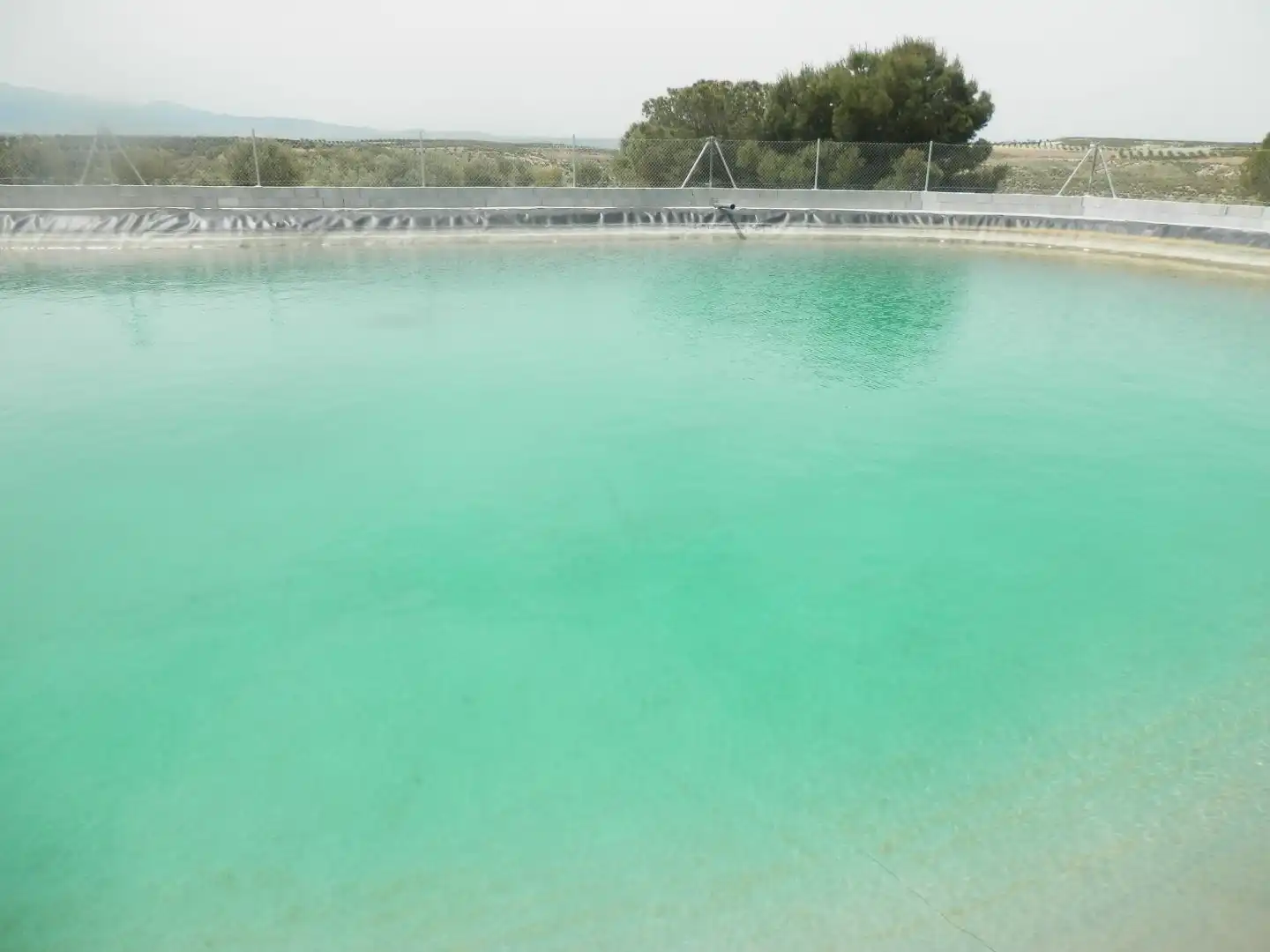 Schwimmbecken von Grundstücke zum Verkauf in Cúllar