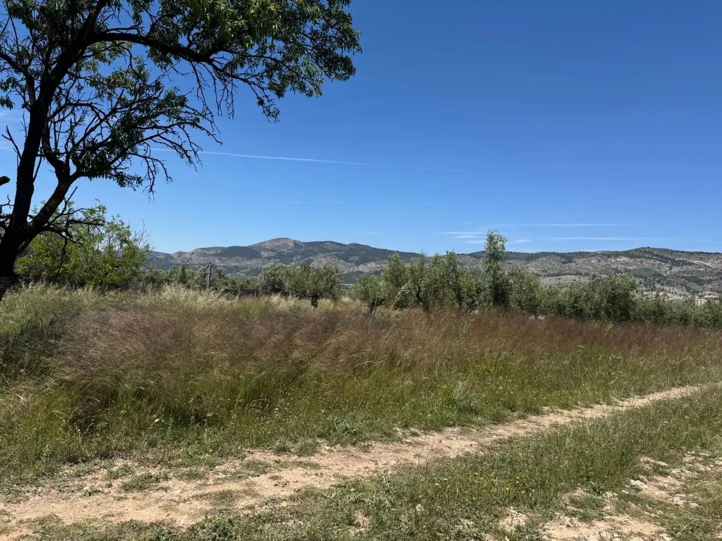 Terreny rústic en venda a Onil