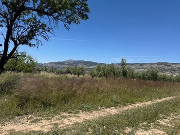 Rural land for sale in Onil
