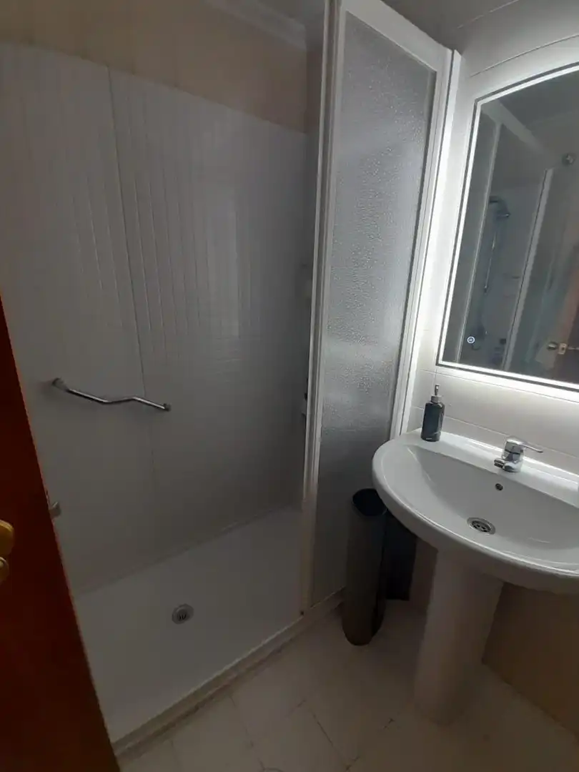 Wohnung mit Terrasse zur Miete in Casco Antiguo, imagen 20