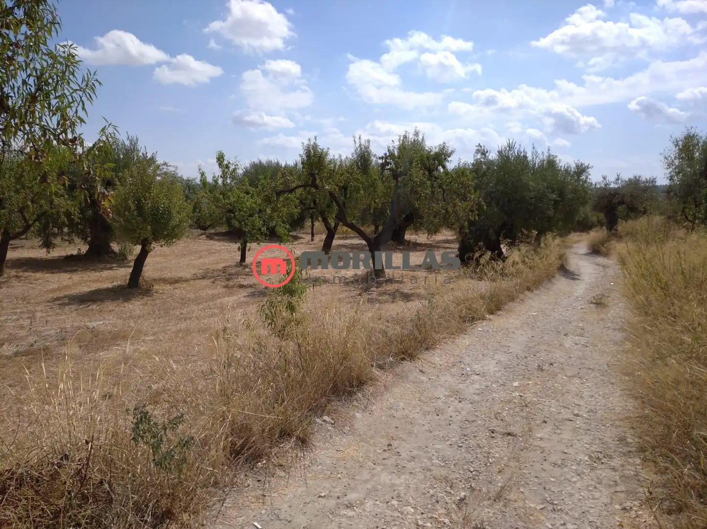 Residencial en venda en Moratalla