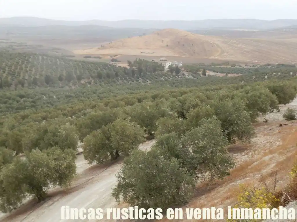 Terreni e lotti in vendita a Andújar, imagen 6