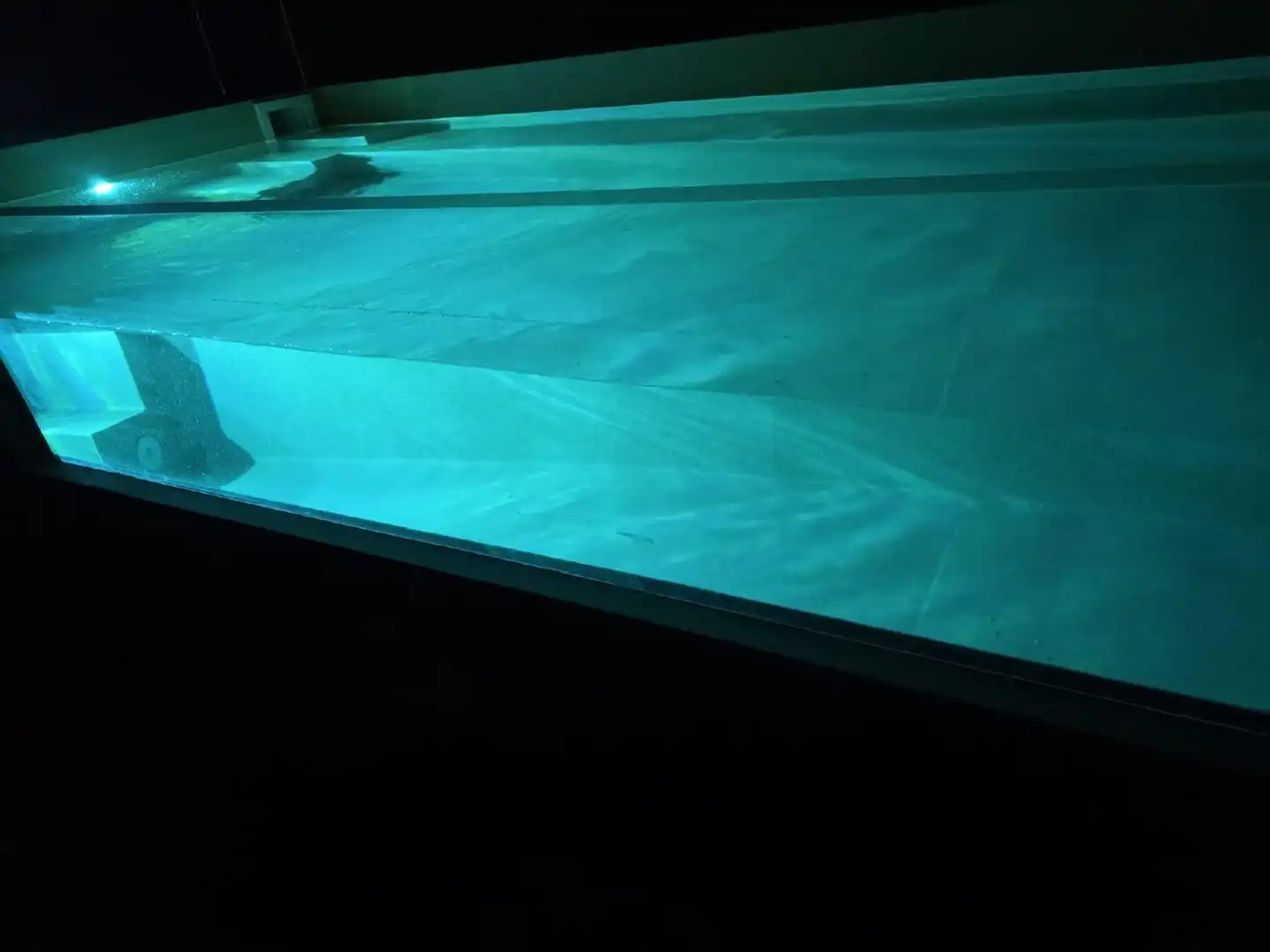 Swimming pool of Houses for rent in Dénia  with Air Conditioner, Heating and Private garden