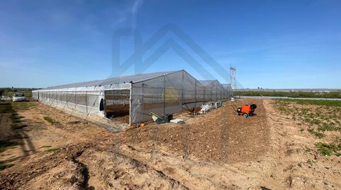 Foto 4 de Terreny en venda a Pedanías Norte, Utrera