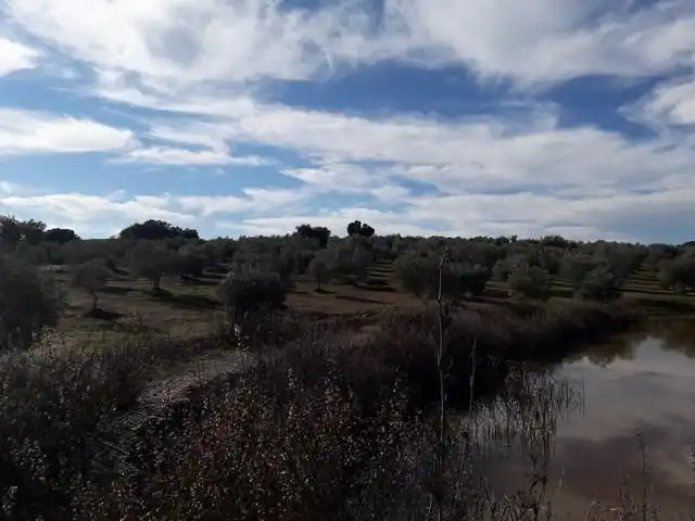 Terreny residencial en venda a Villanueva del Duque, imagen 15