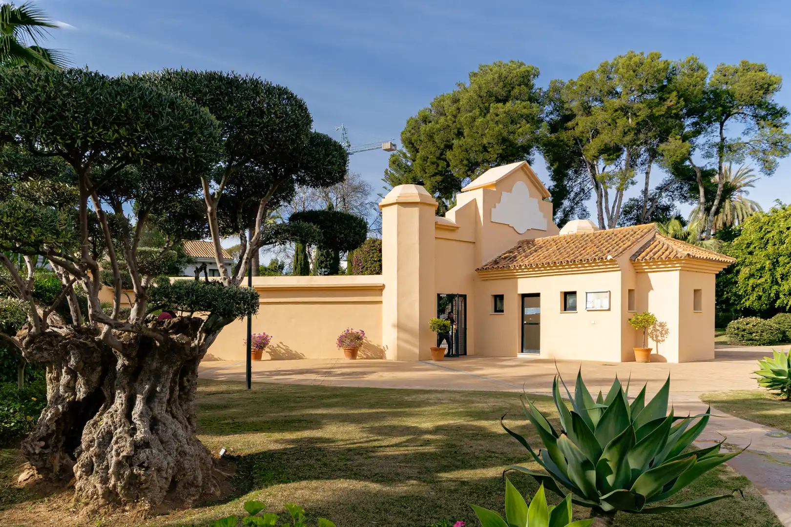 Apartament amb piscina en venda a Nueva Andalucía, imagen 2