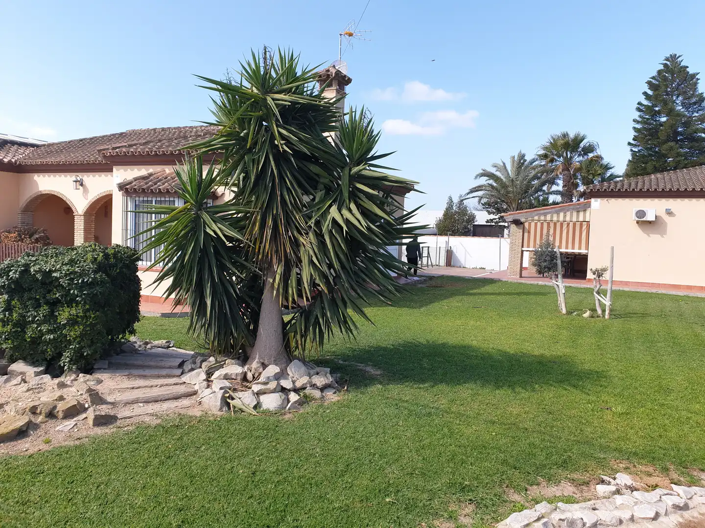 Jardí de Casa o xalet en venda en Chiclana de la Frontera amb Aire condicionat, Calefacció i Jardí privat