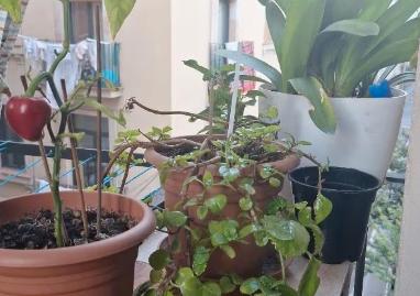 Foto 3 de Piso en venta en Sagrada Família, Barcelona