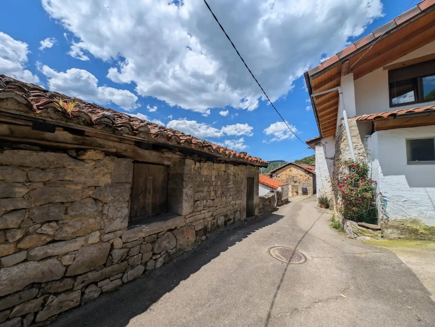 Vista exterior de Casa o chalet en venta en Proaza con Jardín privado