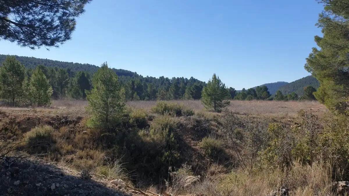 Terrain résidentiel à vendre à Requena, imagen 3
