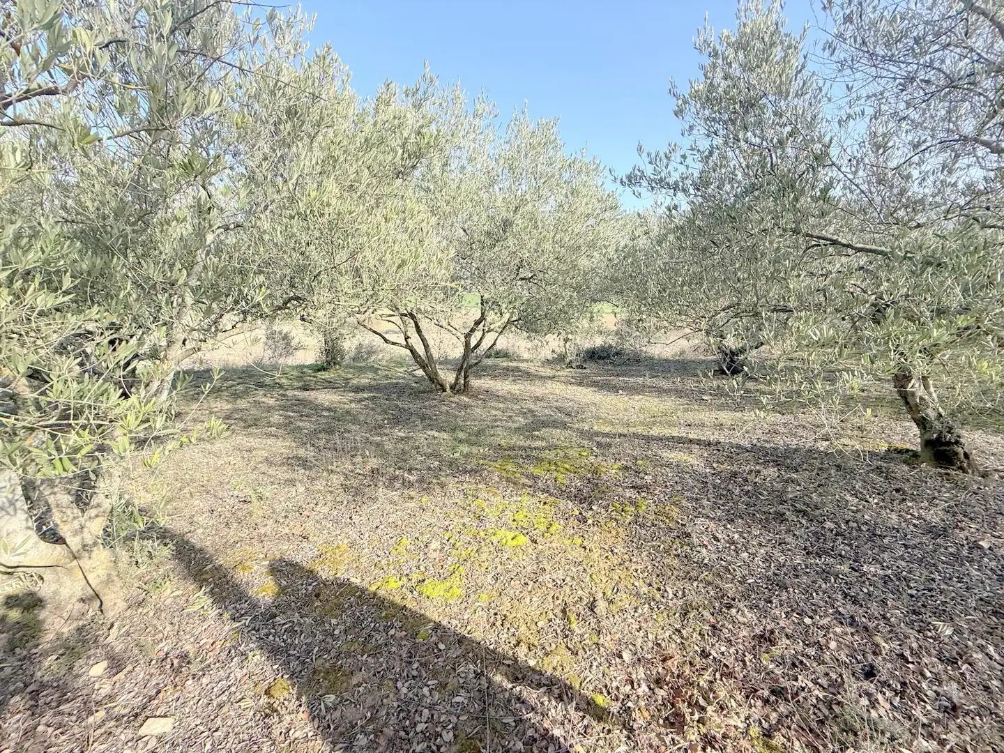 Terreno en venta en Cirauqui / Zirauki