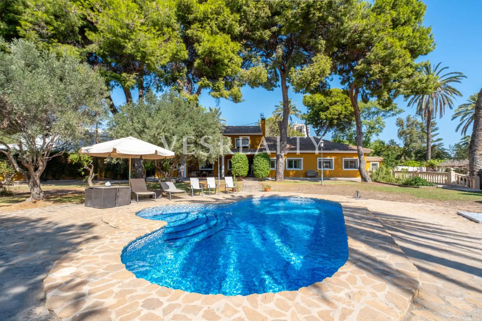 Garden of Houses for sale in Alicante / Alacant