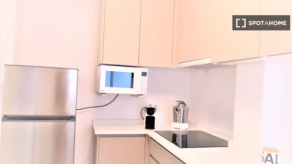 Kitchen of Apartments for share in Alicante / Alacant  with Air Conditioner, Terrace and Furnished