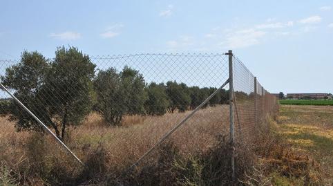 Photo 5 of Land for sale in Avenida Trece de Octubre, 158, Centro, Los Alcázares