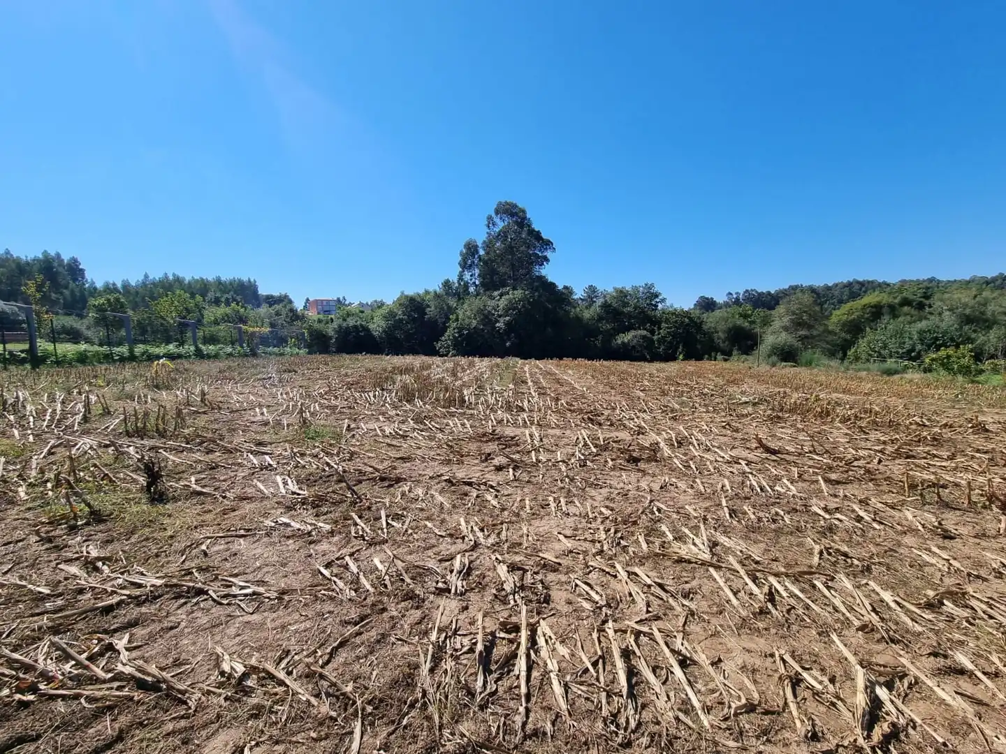 Terreni e lotti in vendita a Vilarmaior, imagen 12