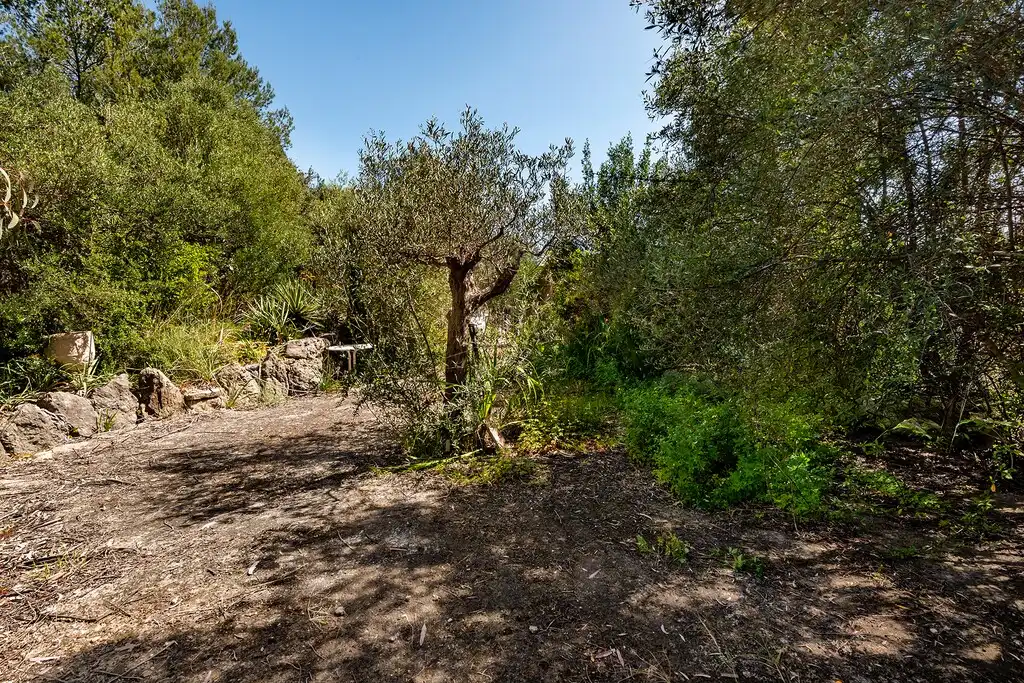 Country homes for sale in Mancor de la Vall  with Private garden, Terrace and Swimming Pool