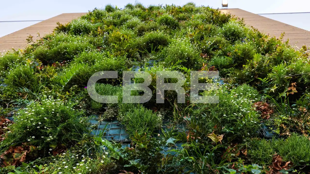 Jardí de Nau industrial de lloguer en Madrid