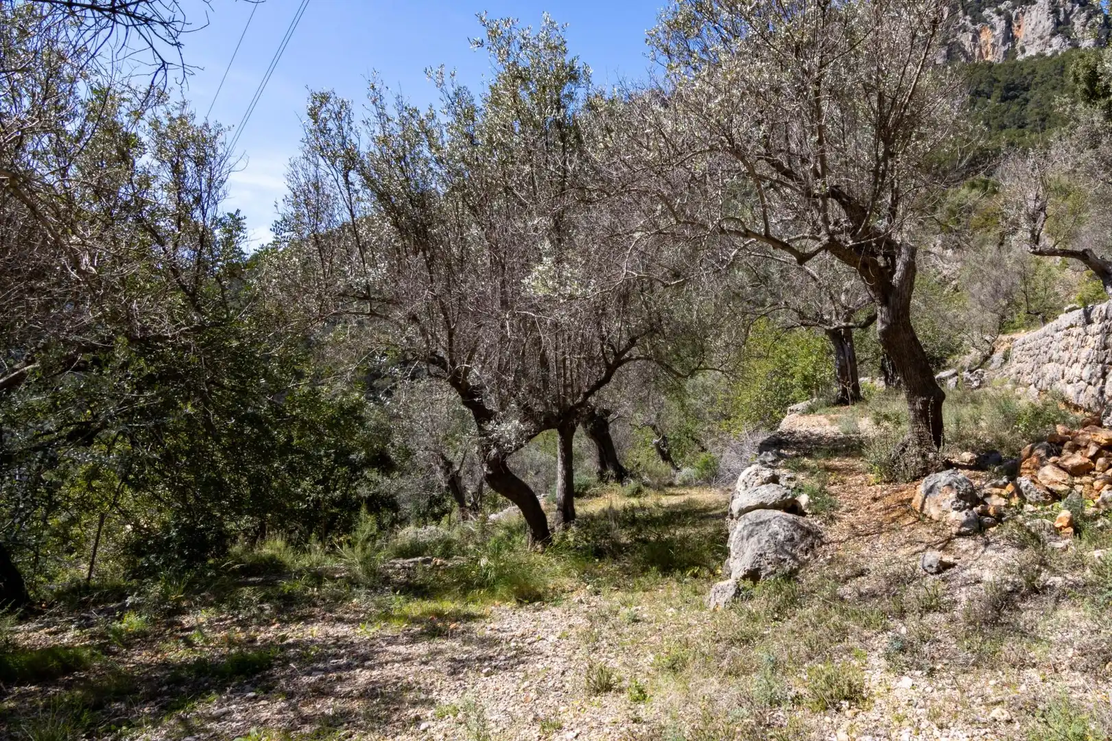 Terreno en venta en Sóller