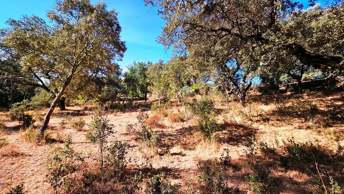 Terreno en venta en Los Marines