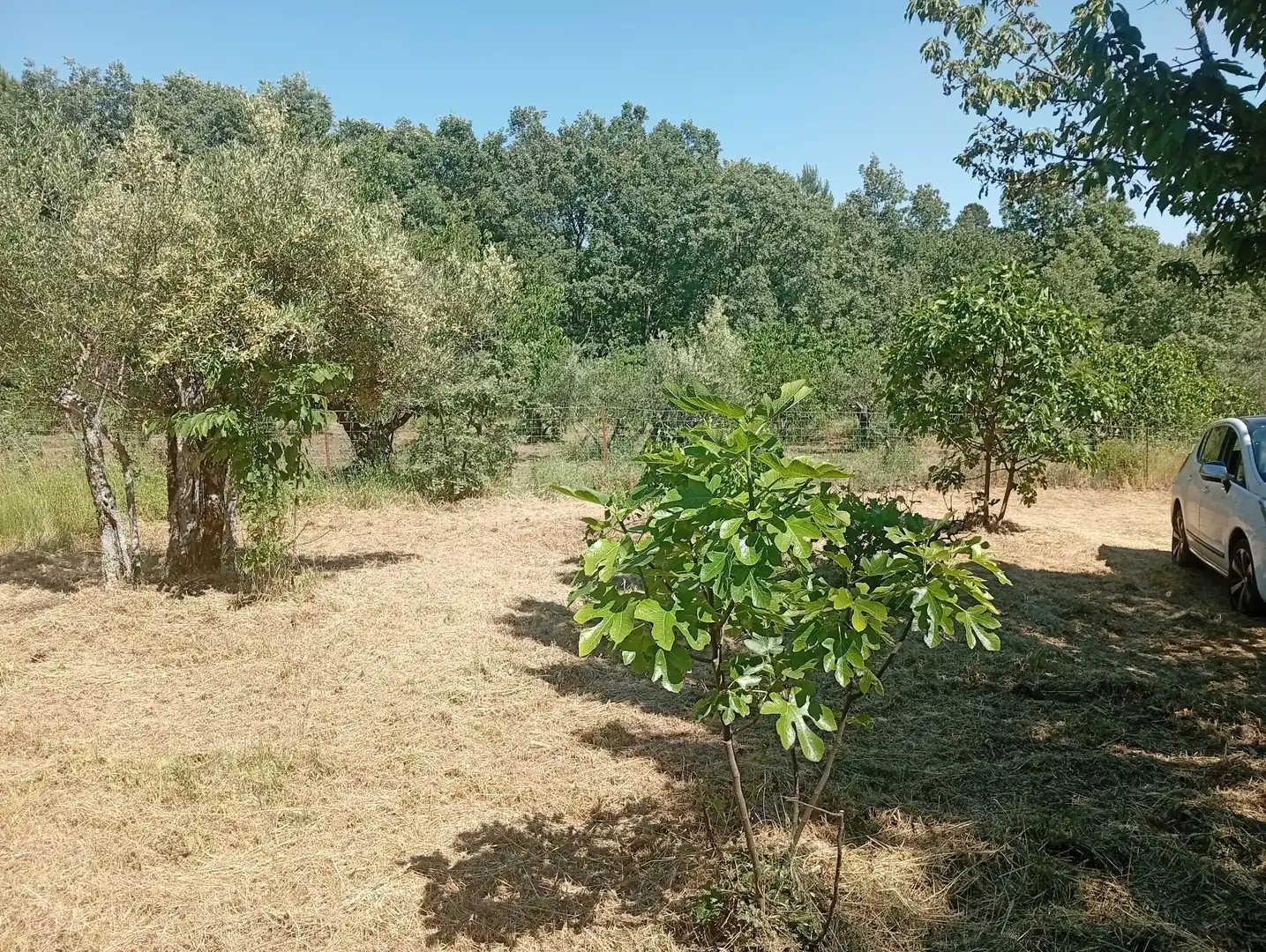 Terreni e lotti in vendita a Villanueva de la Vera, imagen 39