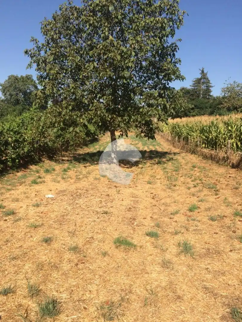 Einfamilien-Reihenhaus zum Verkauf in Riós mit Privatgarten