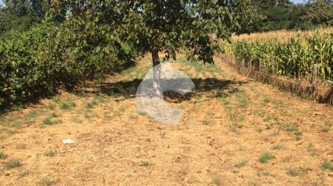 Photo 5 of Single-family semi-detached for sale in Riós, Ourense