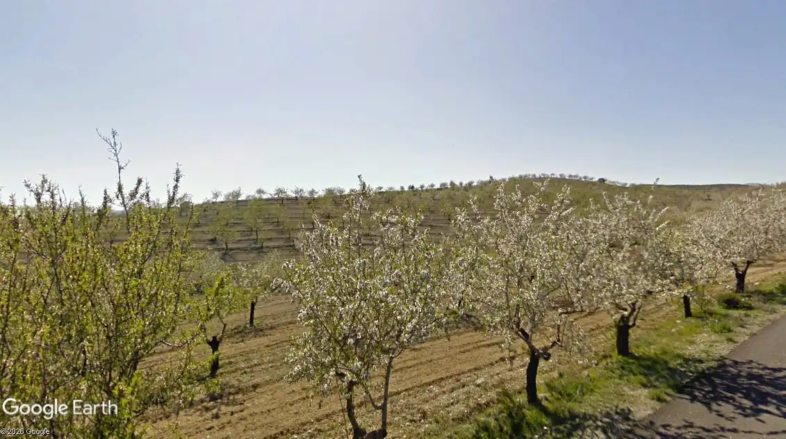 Terreno rustico in vendita a Taberno, imagen 6