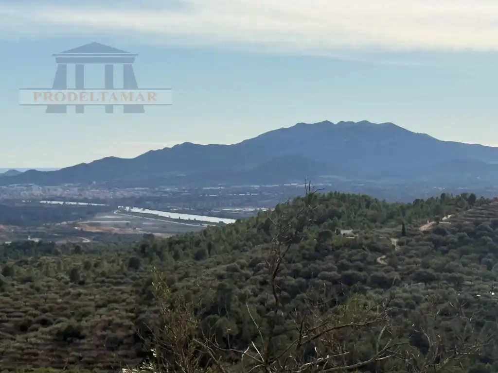 Country house for sale in Poligono 82 Paraje 6 Camp-Redo, imagen 12
