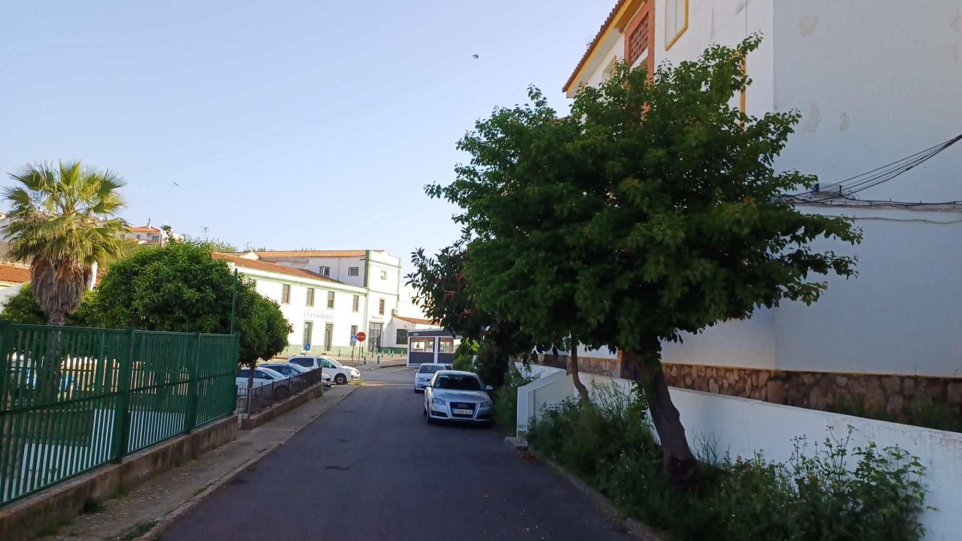 Exterior view of Apartment for sale in Jerez de los Caballeros