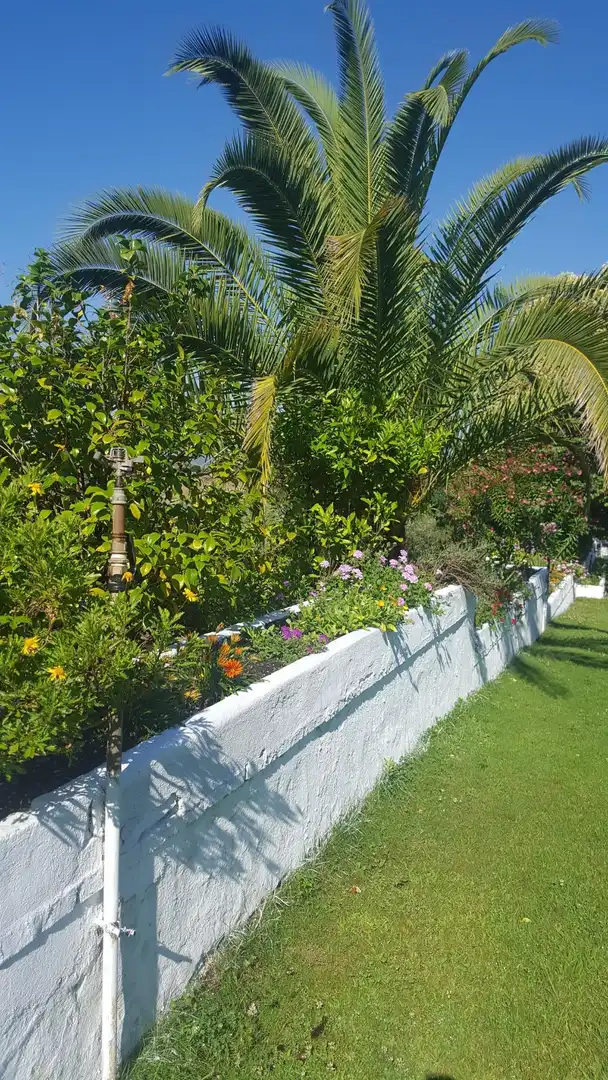 Jardí de Finca rústica en venda en Plasencia amb Aire condicionat, Calefacció i Jardí privat