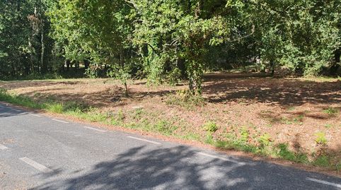Finca con robles en venta Dodro junto el campo de la fiesta., immagine 5