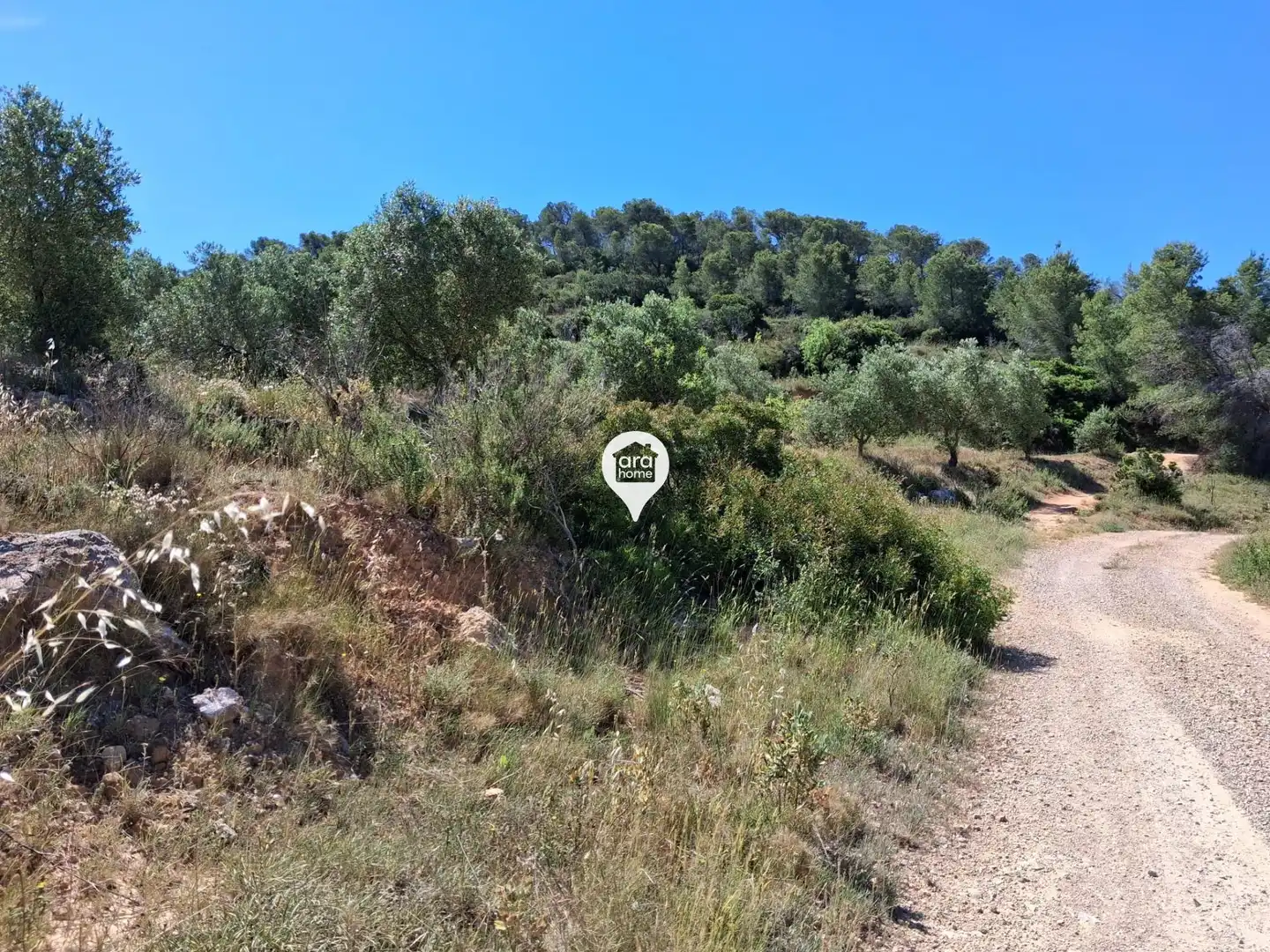 Land for sale in Madrid