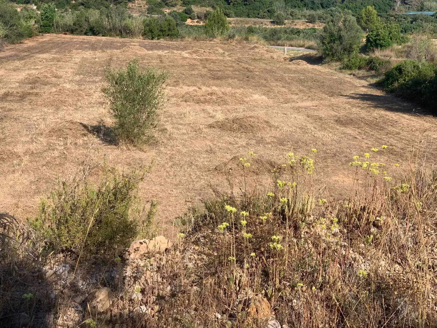 Terreno rústico en venta en Urbanització el Pinar 80, imagen 14