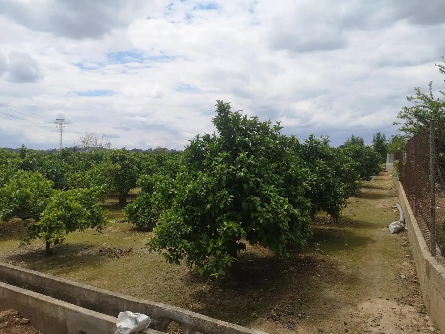 Residencial en venda en Alzira